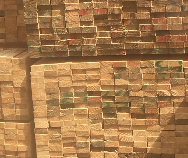 鹿邑新西兰进口松木