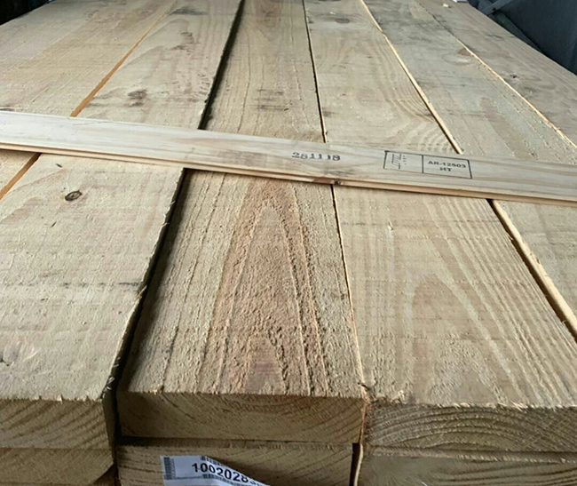 鹿邑阿根廷松木